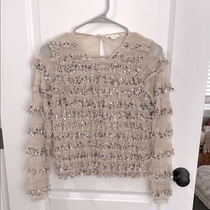 Ruffled Sequin Long Sleeve Mesh Blouse